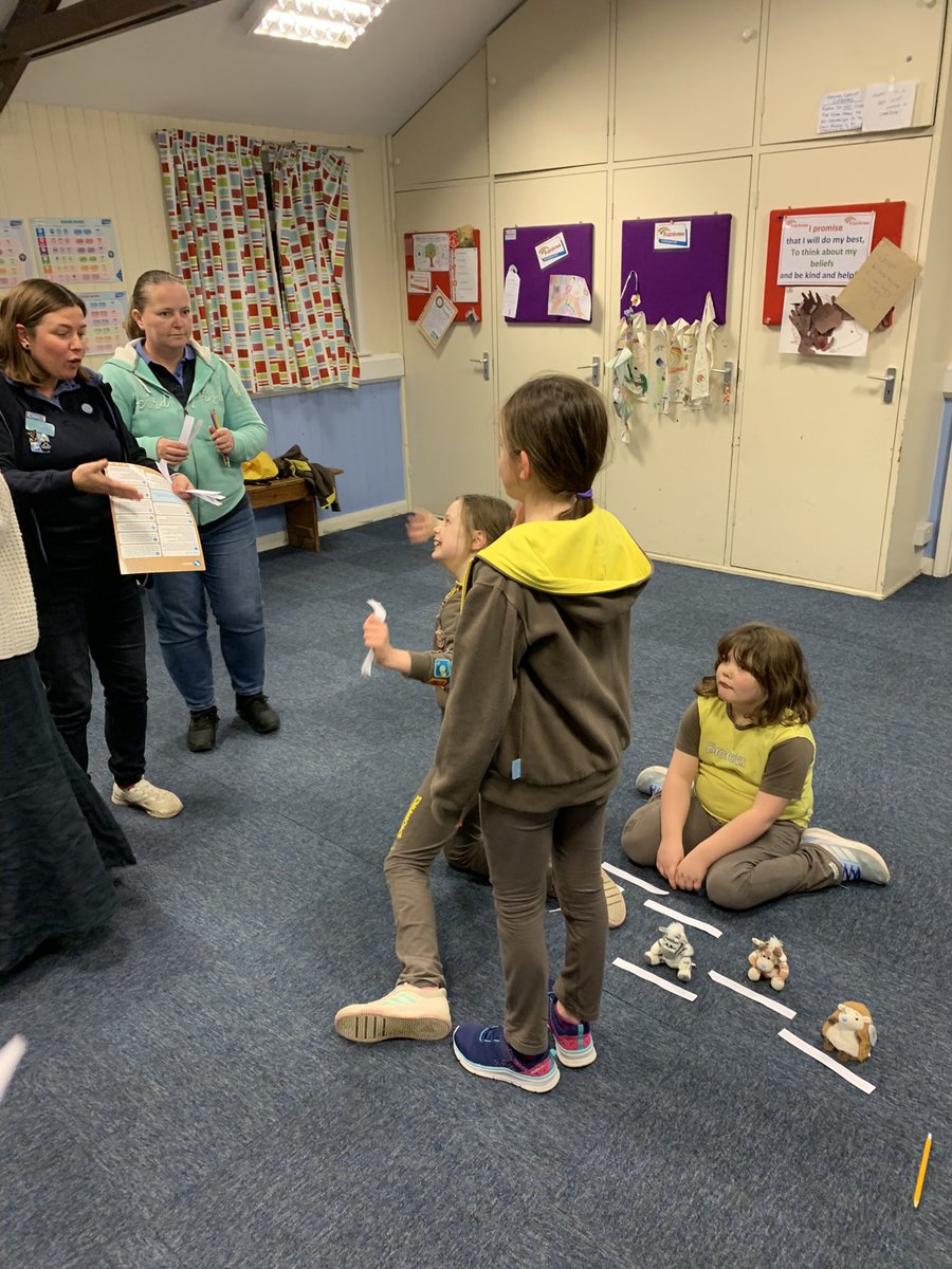 3rd Burgess Hill Brownies tweet media