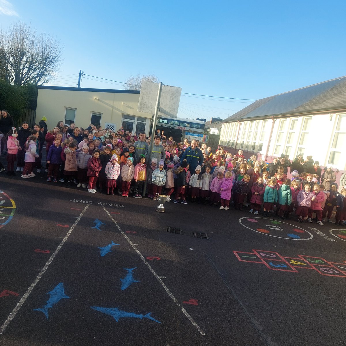 Our Lady of Lourdes NS tweet media