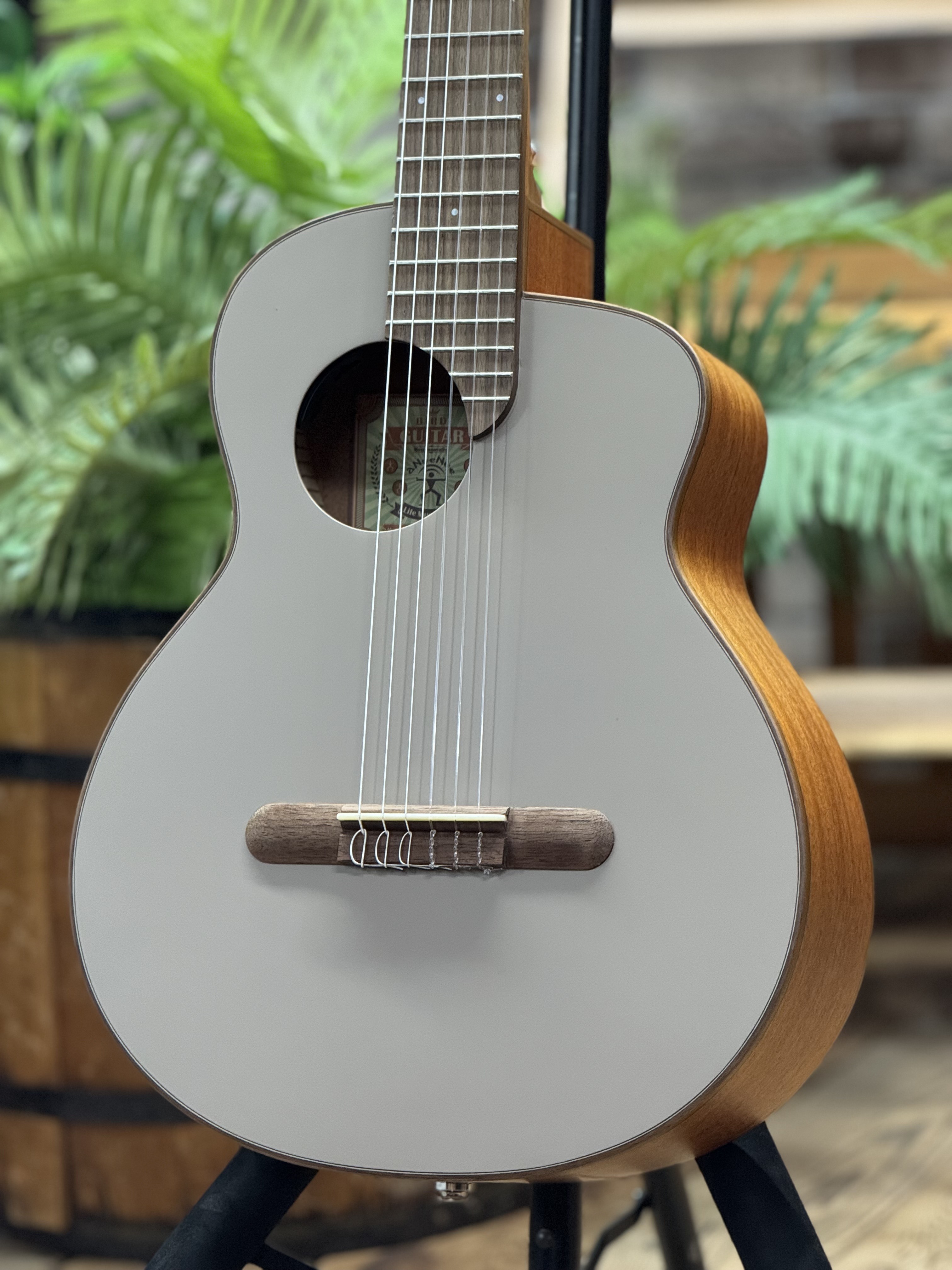 aNueNue aNN-MN14 　ナイロン弦モデル Amazon | aNueNue aNN-MN14E エレガットギター | スチール弦