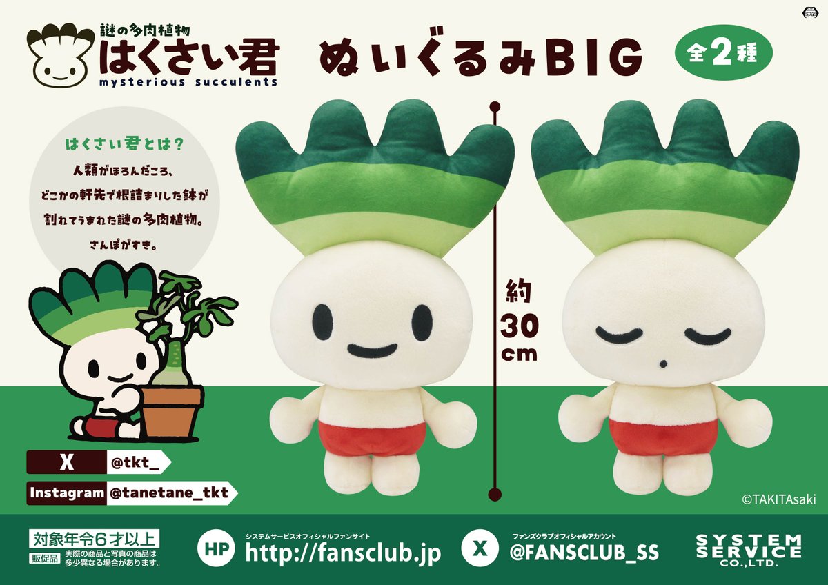 12月プライズ】 「#はくさい君」からお部屋に飾れる「ぬいぐるみBIG