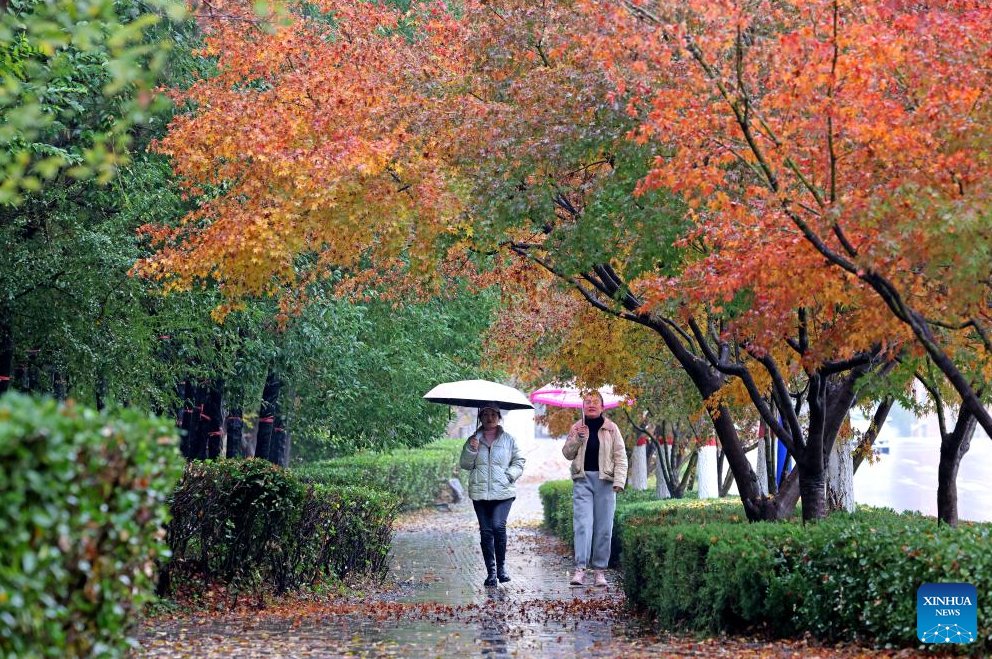 chinaorgcn's tweet image. China issues yellow alert for #snowstorms, cold wave china.org.cn/photos/2024-11…