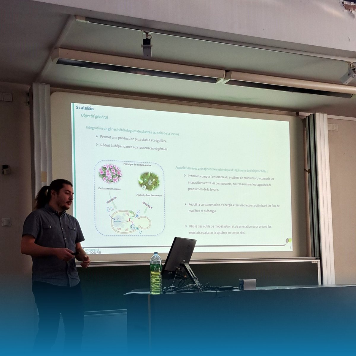 BBV Lab (@bbvea2106_tours) on Twitter photo Nicolas Gautron a présenté ses travaux de fin de 1ère année de thèse dans le cadre du projet APR-IR #SCALEBIO financé par <a href="/RCValdeLoire/">Région Centre-Val de Loire</a>. Des résultats prometteurs pour produire des précurseurs d’anticancéreux avec des levures🧫: innovation et durabilité au service de la santé! Nicolas Gautron a présenté ses travaux de fin de 1ère année de thèse dans le cadre du projet APR-IR #SCALEBIO financé par <a href="/RCValdeLoire/">Région Centre-Val de Loire</a>. Des résultats prometteurs pour produire des précurseurs d’anticancéreux avec des levures🧫: innovation et durabilité au service de la santé!