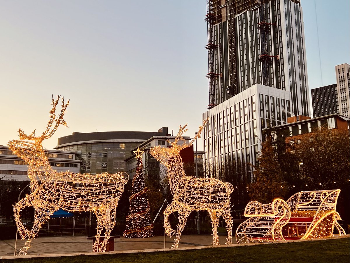 ProfAleksSubic's tweet photo. We have created the most extraordinary experience with festive lights on โฆโฆ@AstonUniversityโฉ campus for our students, staff and #Birmingham community. Thank you #EstatesTeam, #CampusTeam and #EventsTeam for your wonderful work in creating this wonderland for our people. https://t.co/yGlAbQdaAn