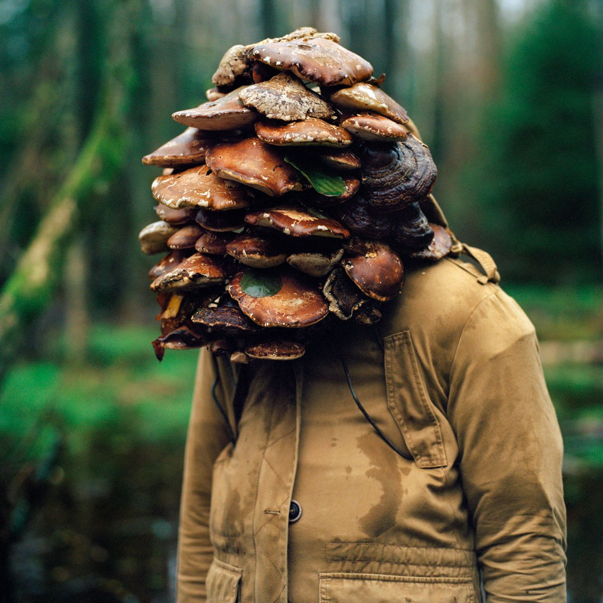 Kom i julestemning med Preus museum 🤶 - mailchi.mp/preusmuseum/va…