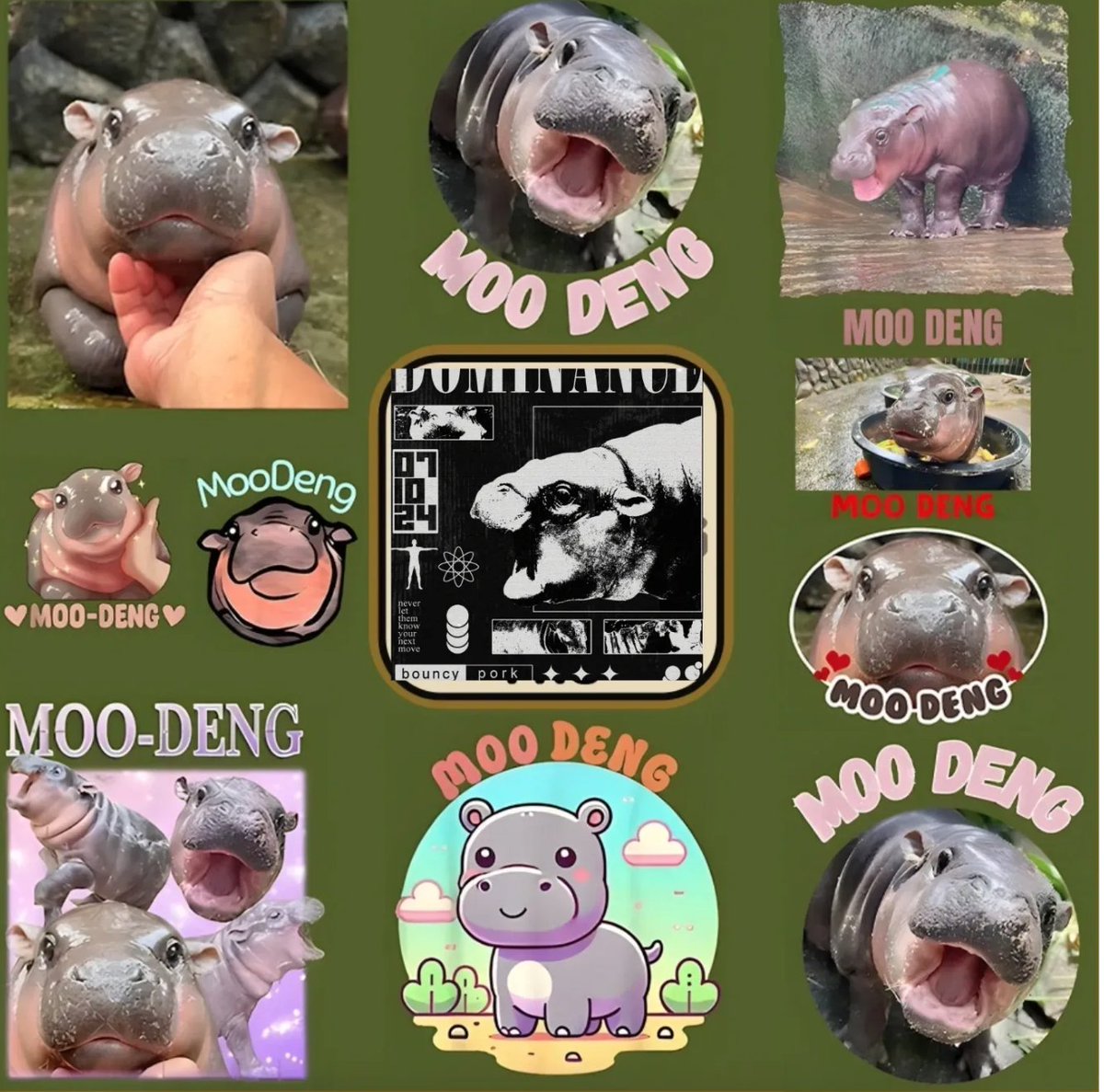 solo_ventures's tweet photo. The market may be volatile, but #Moodeng stands out from the crowd as an iconic animal meme with a strong global impression. https://t.co/ExmOpRb9hz