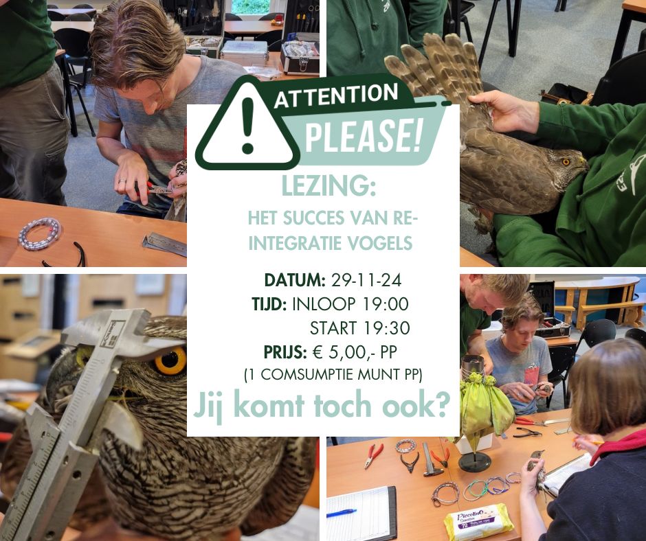 #lezing opgeven kan via info@defugelhelling.nl #ringen #reïntegratie #vogels #wild #rehabilitatie #wildopvang