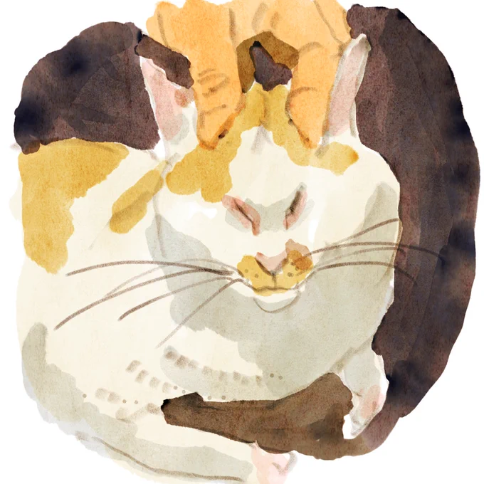 らくがき#猫 