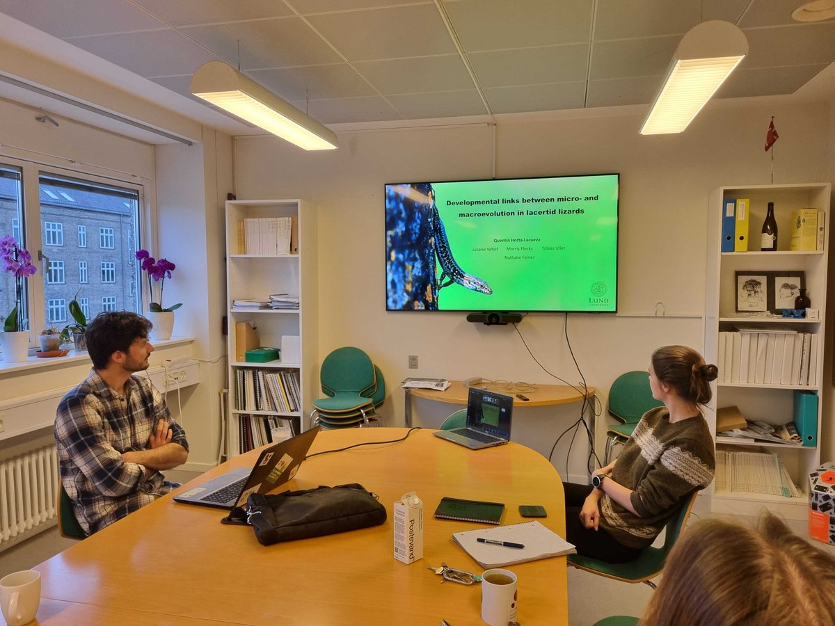 EvoMorphoLab (@evomorpholab_ku) on Twitter photo Yesterday our group had the pleasure of hearing <a href="/HortaQuentin/">Quentin HORTA</a>'s research on lacertid lizards - the group I studied for my PhD over 12 years ago! This just shows that lacertids never go out of style...🦎🦎🦎 Yesterday our group had the pleasure of hearing <a href="/HortaQuentin/">Quentin HORTA</a>'s research on lacertid lizards - the group I studied for my PhD over 12 years ago! This just shows that lacertids never go out of style...🦎🦎🦎