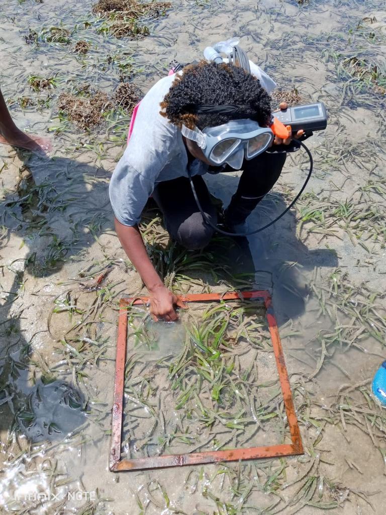 Aligning Economic Development with Biodiversity Conservation: Seagrass Metrics Development in #Mozambique:
mozambique.wcs.org/About-Us/News/…
