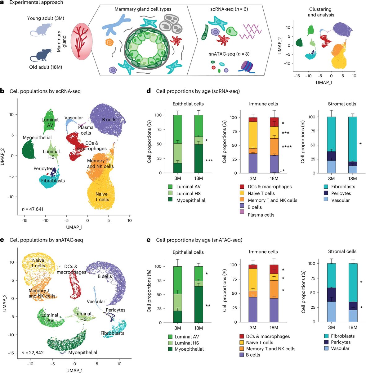 'Comprehensive single-cell aging atlas of healthy mammary tissues reveals shared epigenomic and transcriptomic signatures of aging and cancer'
nature.com/articles/s4358…