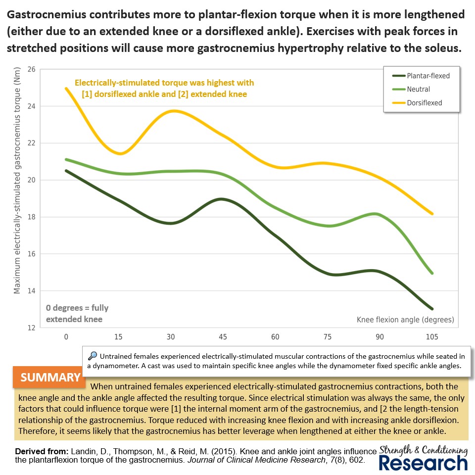 The gastrocnemius has greater capacity to contribute to plantar-flexion when the muscle is lengthened (both at the knee and also at the ankle). This suggests that lengthened partials will be useful for this muscle in accordance with the principle of neuromechanical matching.
