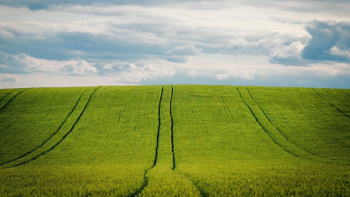 edit_agricola's tweet photo. 🏛️El #Gobierno aumenta el tope máximo de las ayudas de minimis para las empresas del #SectorAgrario.

Lee más en #Agricultura ⤵️
https://t.co/vK6wapKsl1 https://t.co/sbYGF60voy