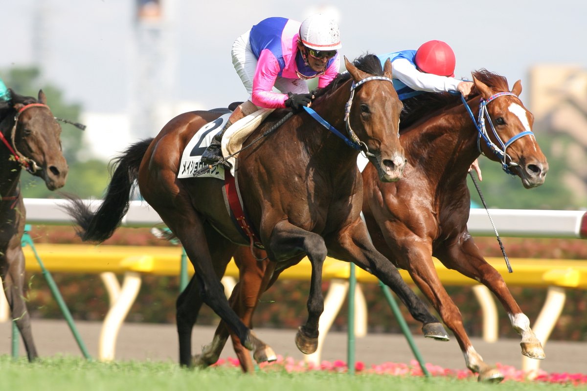 スポニチ 競馬欄 2009年 一年分 年度代表馬 ウオッカ ブエナ スポニチ 競馬欄 2009年 一年分 年度代表馬 ウオッカ ブエナ