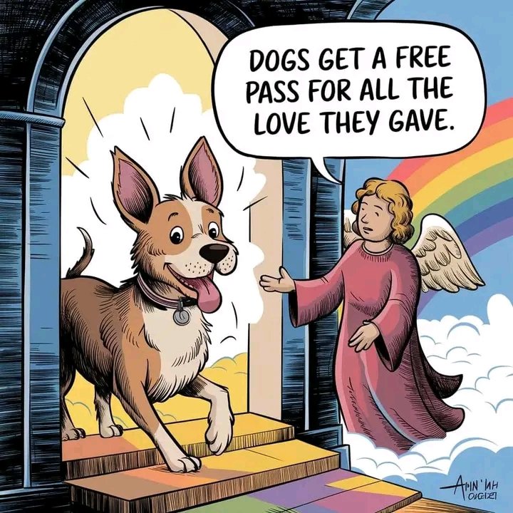 dogloverscore's tweet image. A wagging tail, a loving heart, a golden ticket to paradise.  🐾  #DogHeaven