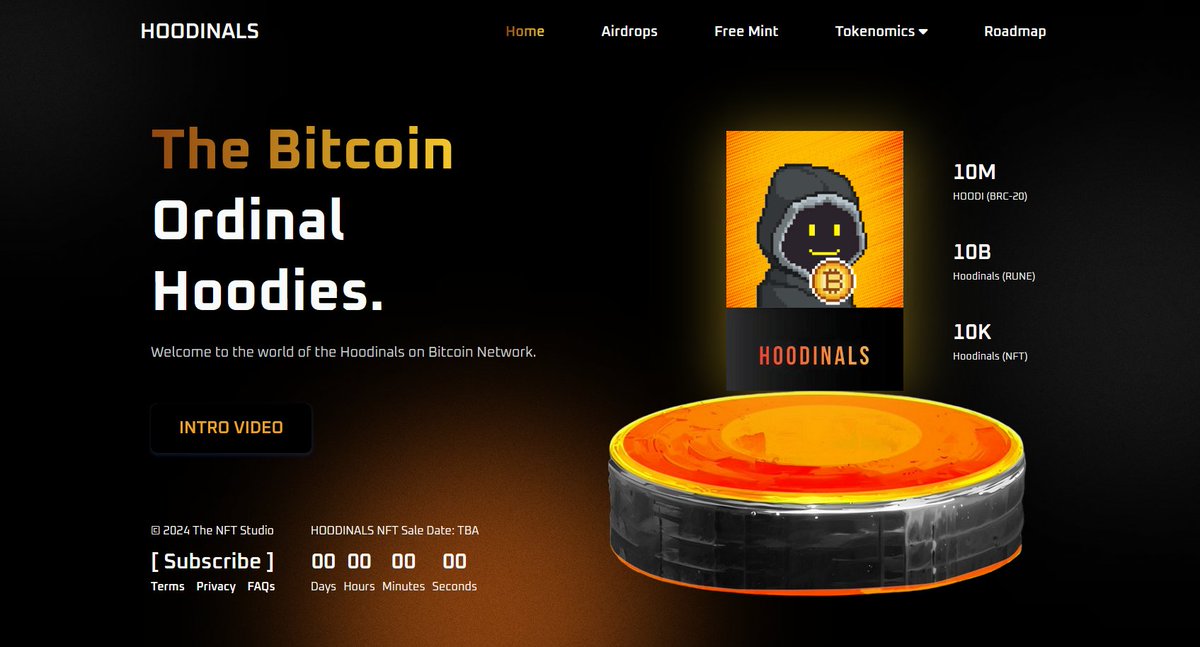 Hoodinals.btc tweet media