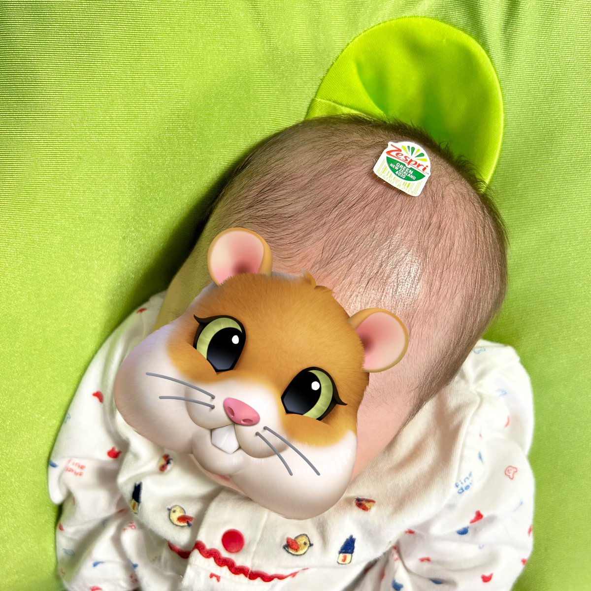 _cattank's tweet photo. 🥝 https://t.co/lIUFTDmnwl