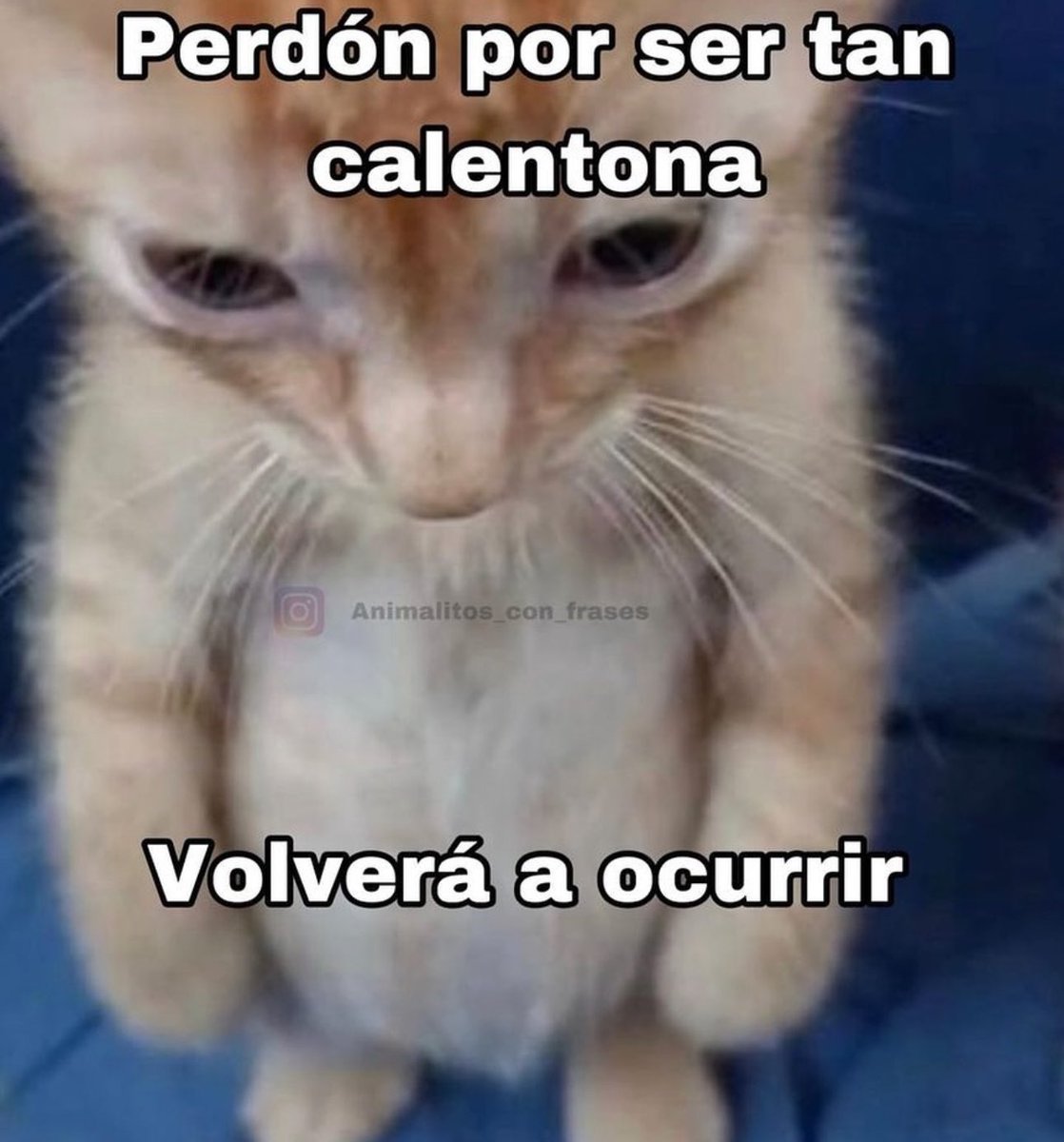 piña sin pizza (@skereunpesado) on Twitter photo 