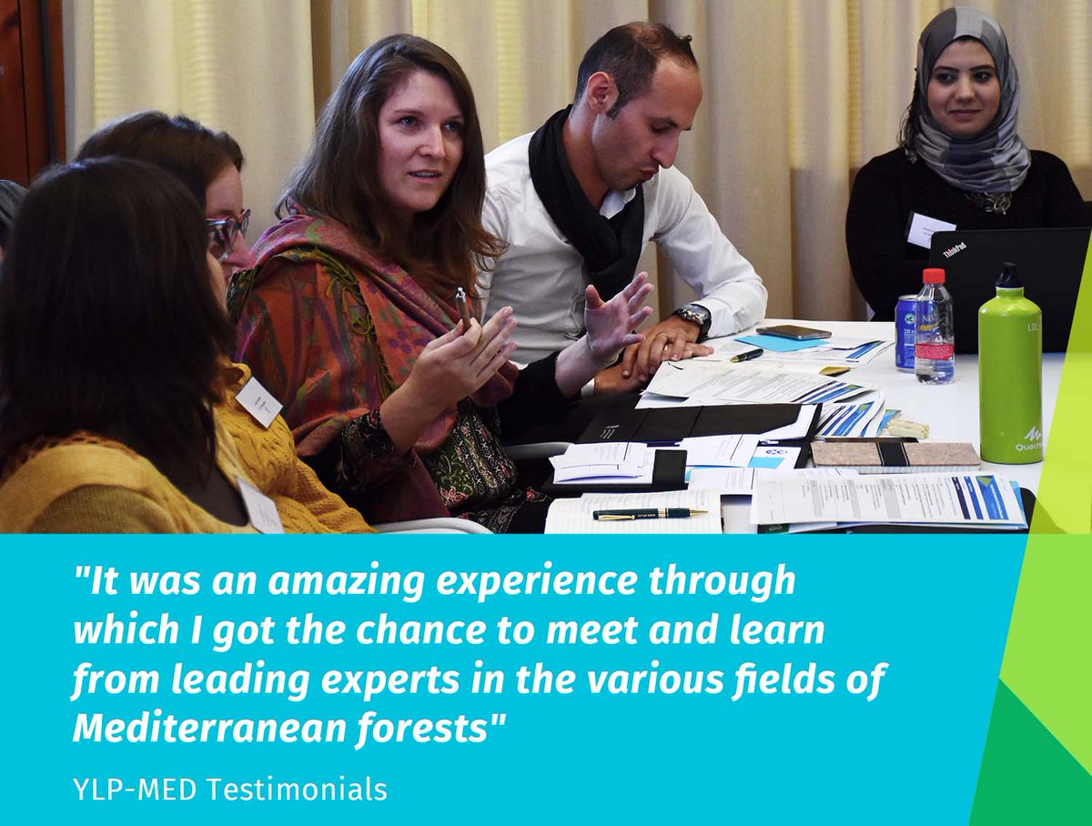 EFI Mediterranean Facility (@efimedfacility) on Twitter photo Are you considering applying for the <a href="/europeanforest/">European Forest Institute (EFI)</a>’s Young Leadership Programme 2025?
📽️ Hear directly from participants of the 2023 edition as they share their experiences in this video ➡️ youtu.be/xuVZ9ulM624
Sign up to #YLPMED by 15 December!
👉 efi.int/ylp-med-2025 Are you considering applying for the <a href="/europeanforest/">European Forest Institute (EFI)</a>’s Young Leadership Programme 2025?
📽️ Hear directly from participants of the 2023 edition as they share their experiences in this video ➡️ youtu.be/xuVZ9ulM624
Sign up to #YLPMED by 15 December!
👉 efi.int/ylp-med-2025