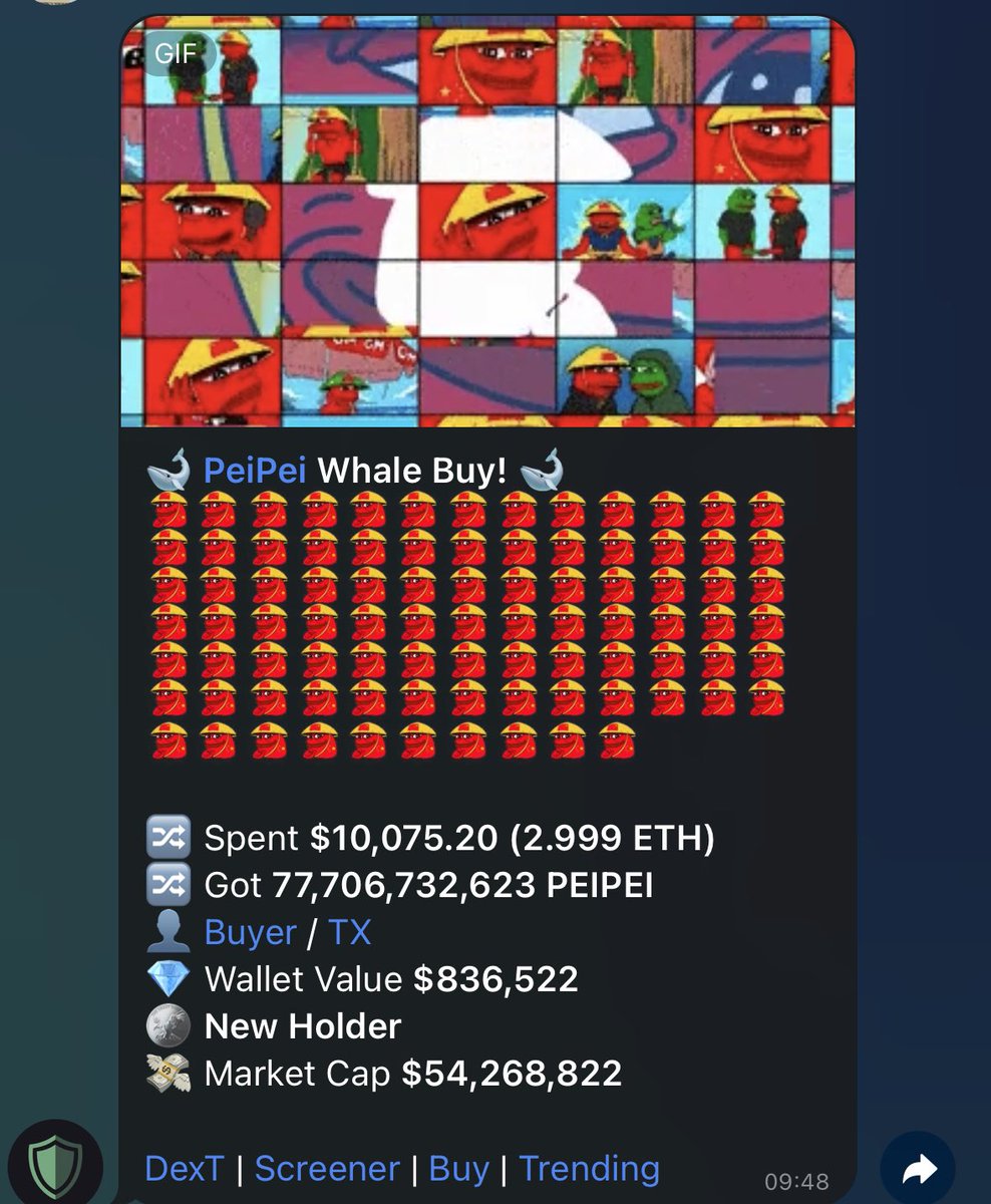 $800K wallet buying $PEIPEI the chinese $pepe 🐸🇨🇳

$PEIPEI will be on top with the bigger memecoins like $brett $fwog $mog $neiro

Soon u will see $PEIPEI everywhere. Chinese narrative brewing after the recent crypto unban by China. China will love the red frog.
@Peipeierc20