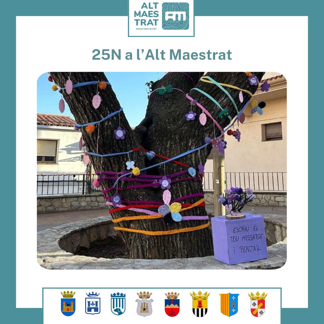 Mancomunitat Alt Maestrat tweet media