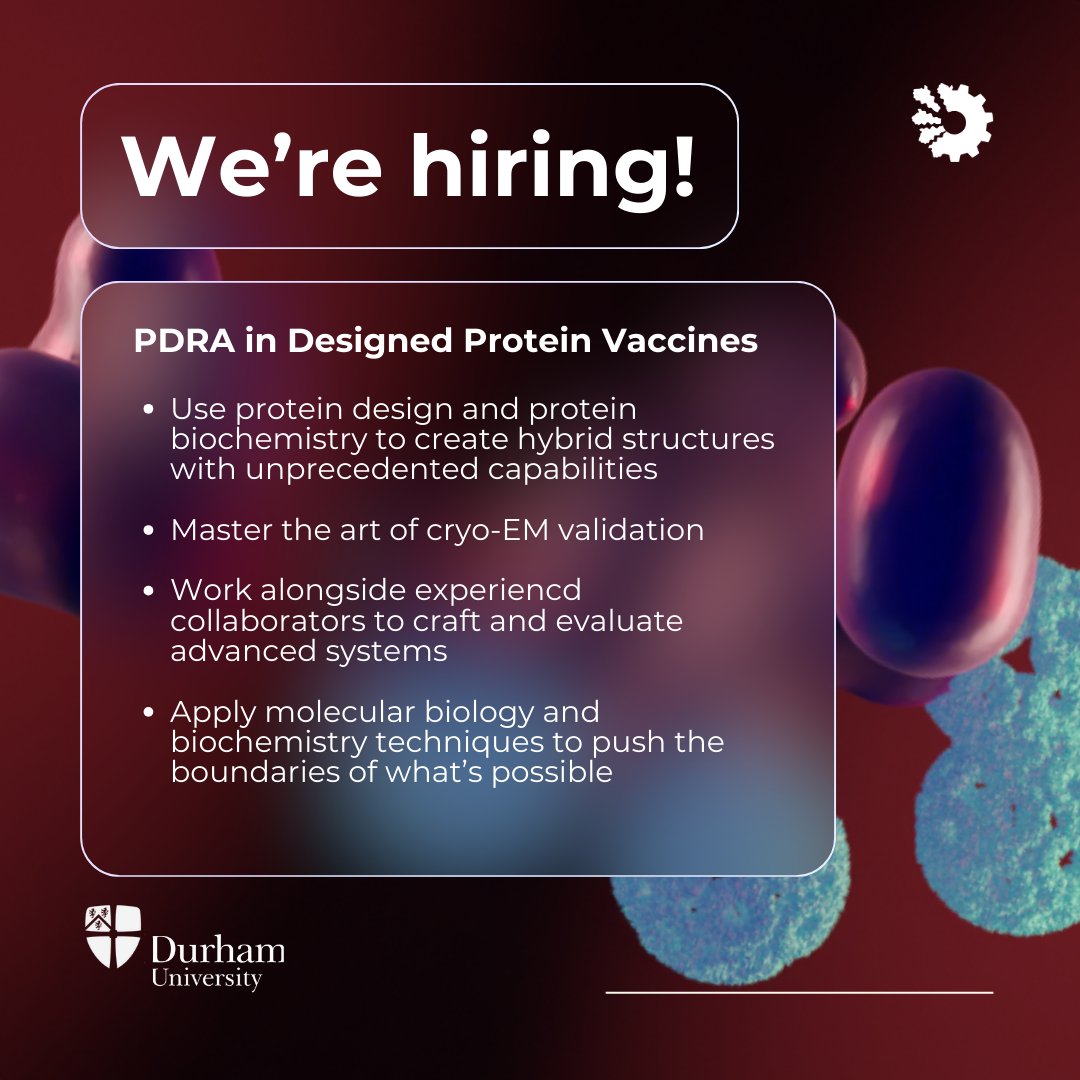 Centre for Programmable Biological Matter (@cpbm_heddlelab) on Twitter photo 🚀 We’re hiring! 🚀
We are seeking a passionate PDRA to lead an exciting <a href="/acmedsci/">Academy of Medical Sciences</a> funded project in designing dynamic protein cage-based vaccines.
Utilise state-of-the-art biochemistry and deep learning tools to create systems with real-world impact.
durham.taleo.net/careersection/… 🚀 We’re hiring! 🚀
We are seeking a passionate PDRA to lead an exciting <a href="/acmedsci/">Academy of Medical Sciences</a> funded project in designing dynamic protein cage-based vaccines.
Utilise state-of-the-art biochemistry and deep learning tools to create systems with real-world impact.
durham.taleo.net/careersection/…