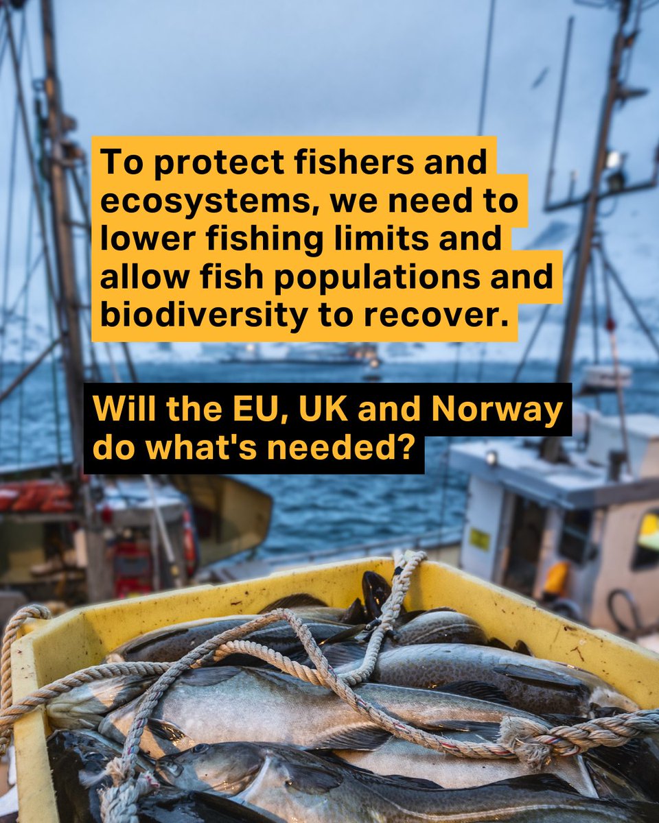 ClientEarth Europe (@clienteartheur) on Twitter photo This week, the EU & UK will decide the fate of depleted fish populations like Irish Sea and Celtic Sea cod and whiting. High time to prioritise their recovery, #EndOverfishing and put long-term sustainability before short-term gain. <a href="/EUCouncil/">EU Council</a> <a href="/EU_MARE/">EU Maritime & Fish</a> <a href="/DefraGovUK/">Defra UK</a> <a href="/DanielZeichner/">Daniel Zeichner</a> This week, the EU & UK will decide the fate of depleted fish populations like Irish Sea and Celtic Sea cod and whiting. High time to prioritise their recovery, #EndOverfishing and put long-term sustainability before short-term gain. <a href="/EUCouncil/">EU Council</a> <a href="/EU_MARE/">EU Maritime & Fish</a> <a href="/DefraGovUK/">Defra UK</a> <a href="/DanielZeichner/">Daniel Zeichner</a>