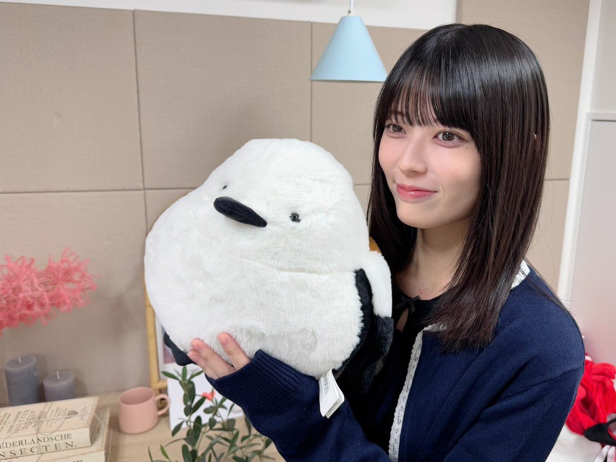 乃木坂46 岩本蓮加 １１点 まとめ売り 乃木坂46 岩本蓮加 11点 まとめ売り 乃木坂46 生写真 岩本蓮加
