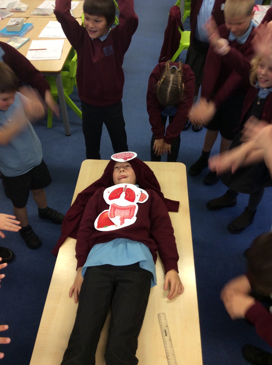 La Mare Primary tweet media