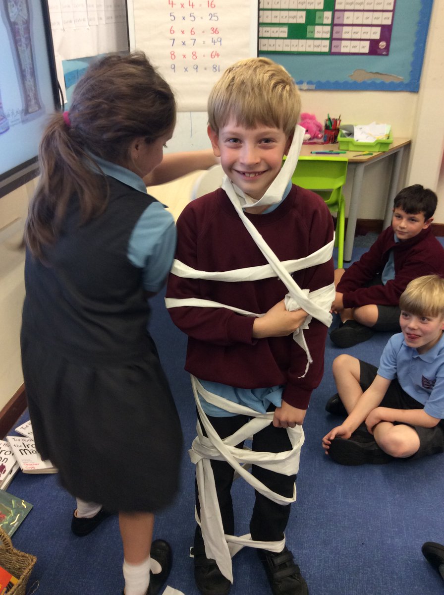 La Mare Primary tweet media