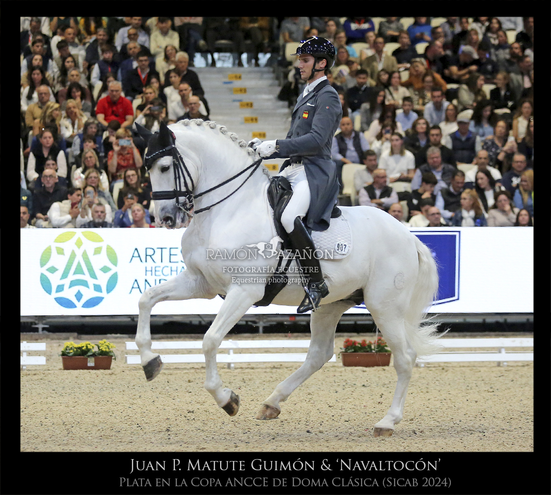 ramonazanon's tweet image. Juan Pablo Matute Guimón montanto a ‘Navaltocón’, medalla de planta en la Copa ANCCE de Doma Clásica celebrada la pasada semana en @SICABOficial 2024. @JMatutePodium