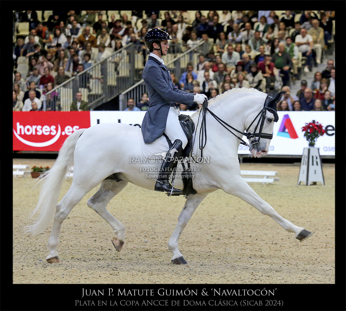 ramonazanon's tweet image. Juan Pablo Matute Guimón montanto a ‘Navaltocón’, medalla de planta en la Copa ANCCE de Doma Clásica celebrada la pasada semana en @SICABOficial 2024. @JMatutePodium