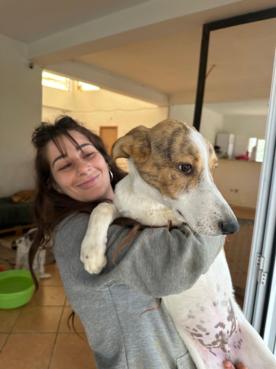 Wita Was Einstein z Maroka! Minęło już sporo tygodni, odkąd mogliście go poznać. Z całego serca chcemy Wam podziękować, bo bez Was nie miałby żadnych szans. Pomagamy wielu zwierzakom w Maroku, a Einstein jest jednym z nich. Jego historia to ogromny sukces – sukces, który wydarzył