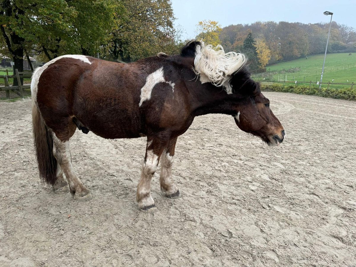 Neptun adoptowany 2 lata temu – mieszka dziś w Nadrenii Północnej-Westfalii i zdaje się, że całkiem sobie chwali nową miejscówkę. 😊