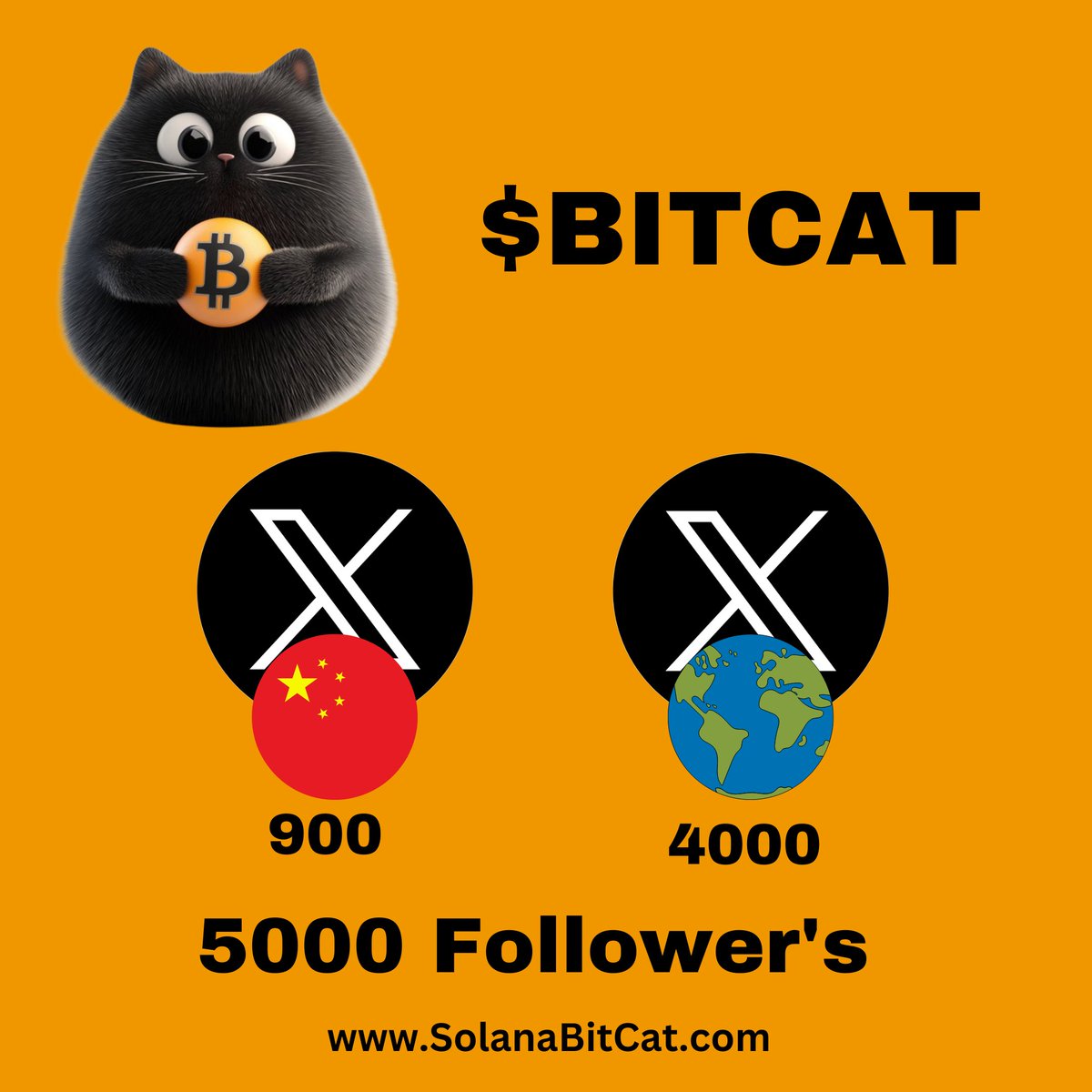 BitCat_sol_'s tweet photo. 🎉🐱 BitCat Hits 5,000 Followers! 🐱🎉

🌍 4,000 worldwide
🐾 900 from China @Bitcat_CN_
Thank you for being part of this incredible journey! 🚀 Let’s keep growing and showing the world what BitCat is all about. 💎

#BitCat #MascotOfBitcoin #BitCatSol #CHILLGUY  $wif $bonk $bome $popcat $michi