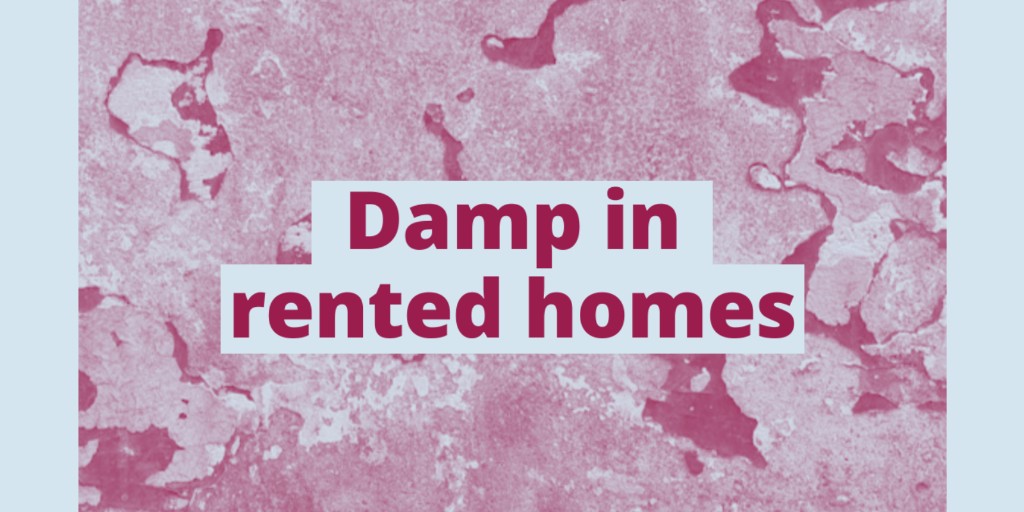 CAWestSussex's tweet image. ❌ Your landlord shouldn’t blame you for having damp in your home. 

It’s their responsibility to find out what’s causing the damp.

Check what kind of damp you have and how you could deal with it ⤵️
bit.ly/40Zp2FM

#DampProblems #TenantRights #LandlordResponsibilities