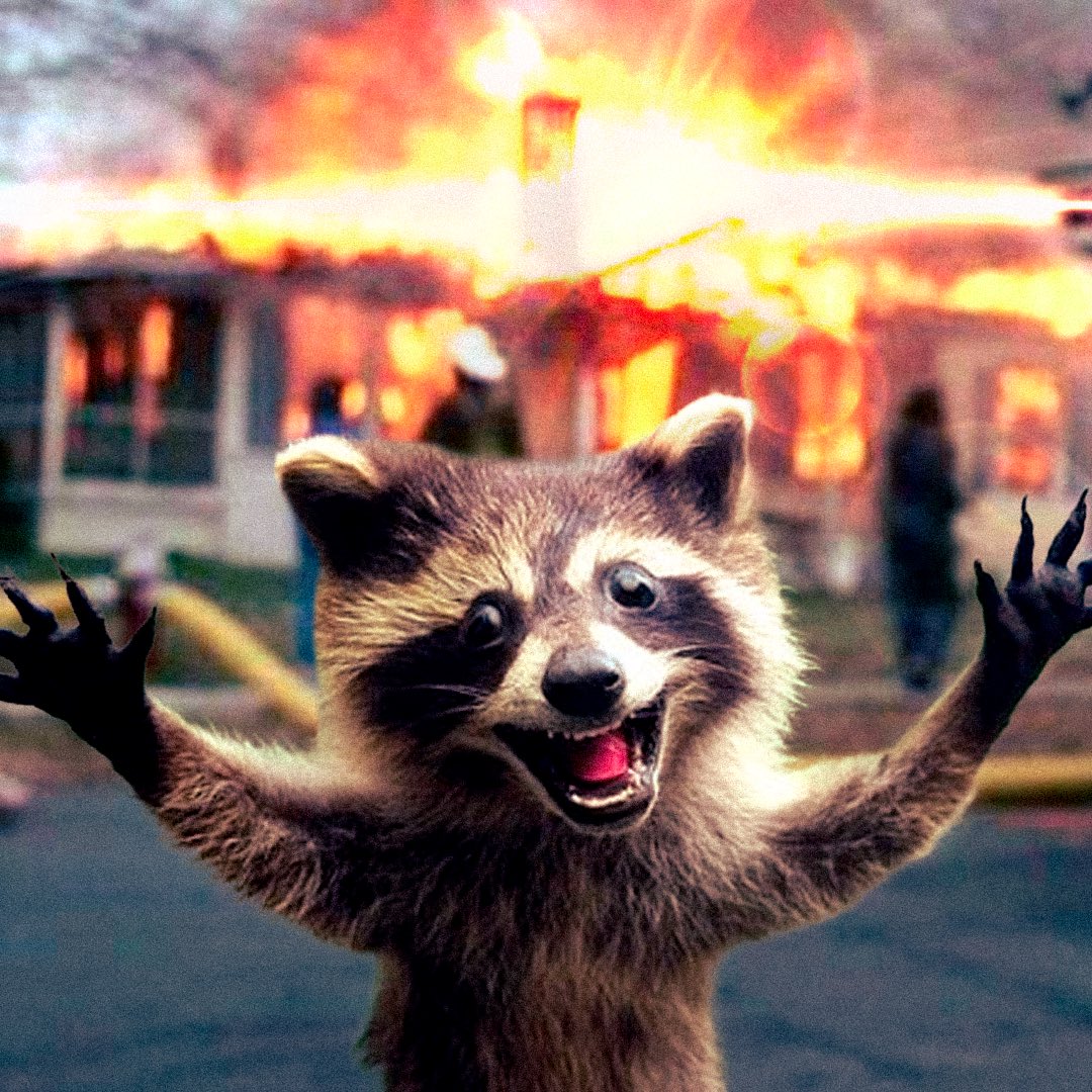 $FRED Community is screaming for justice. 

I repeat. 

No listings = racism towards raccoons

Racism towards raccoons = the end of decentralisation. 

Justice for $FRED or I’m going back to being a waiter after 4 years full time web3 

<a href="/FRED_CTO_SOL/">$FRED (CTO) on Solana</a>