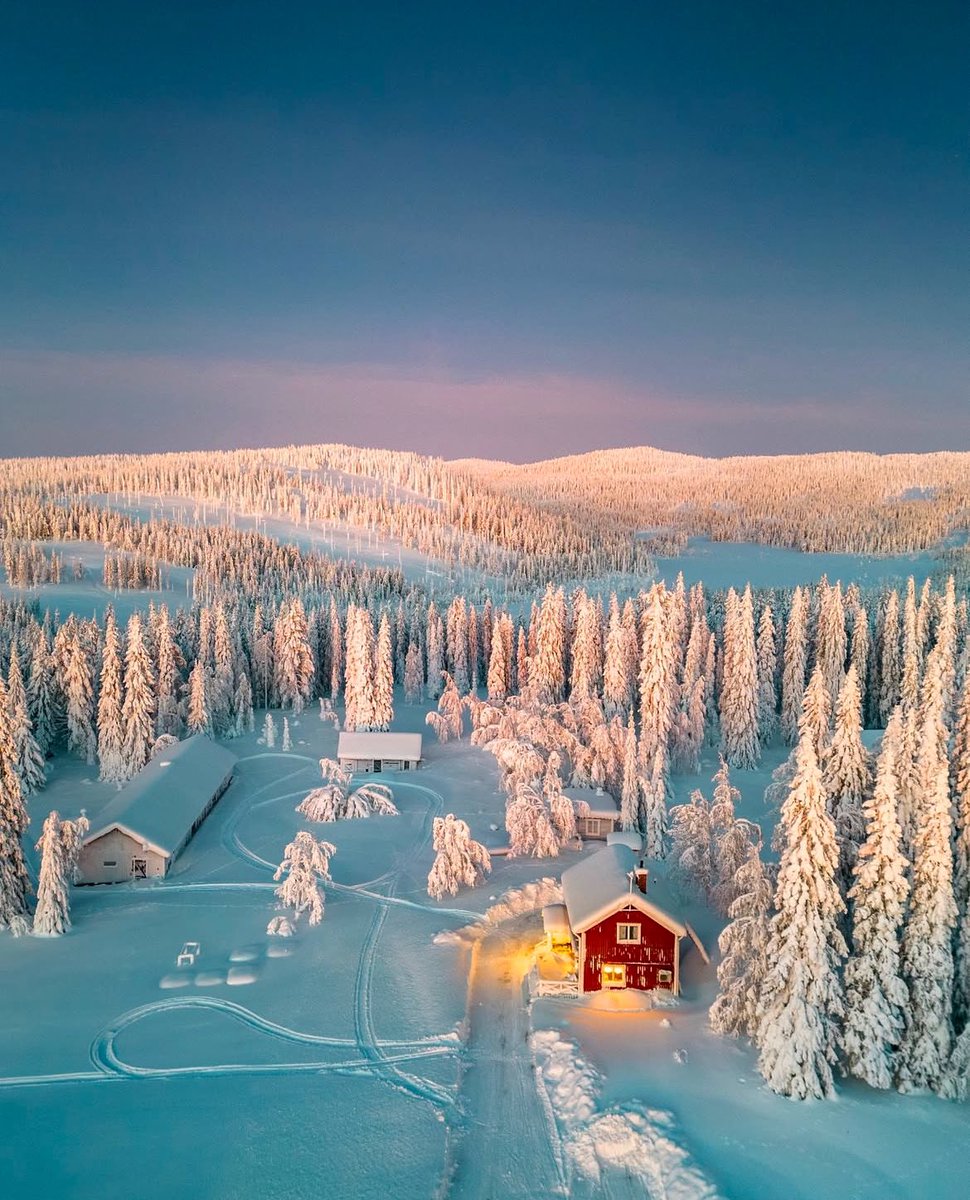 — winter wonderland ❄️✨