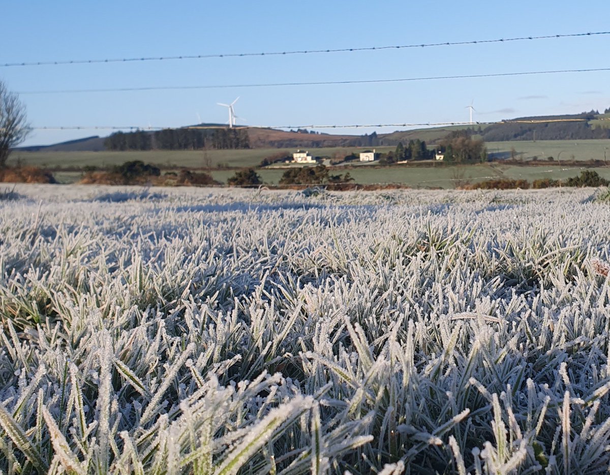 johncollins_71's tweet photo. Frosty morning... 🥶 https://t.co/ejyaW2n5kz