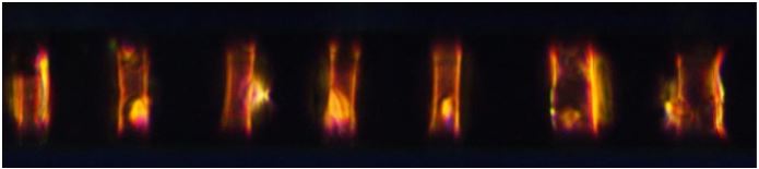 physics_UW's tweet photo. 🧡27.11.2024 at 15:00 in room B2.38, @physics_UW the first of Environmental Photonics Seminars will be held, organised by #FUW, Polish branch of #IEEEPhotonicsSociety and #PPTF. The seminar's guest speaker will be Prof @Piotrek_Lesiak from @fizyka_PW @WUT_edu https://t.co/BDLeijRAJ9