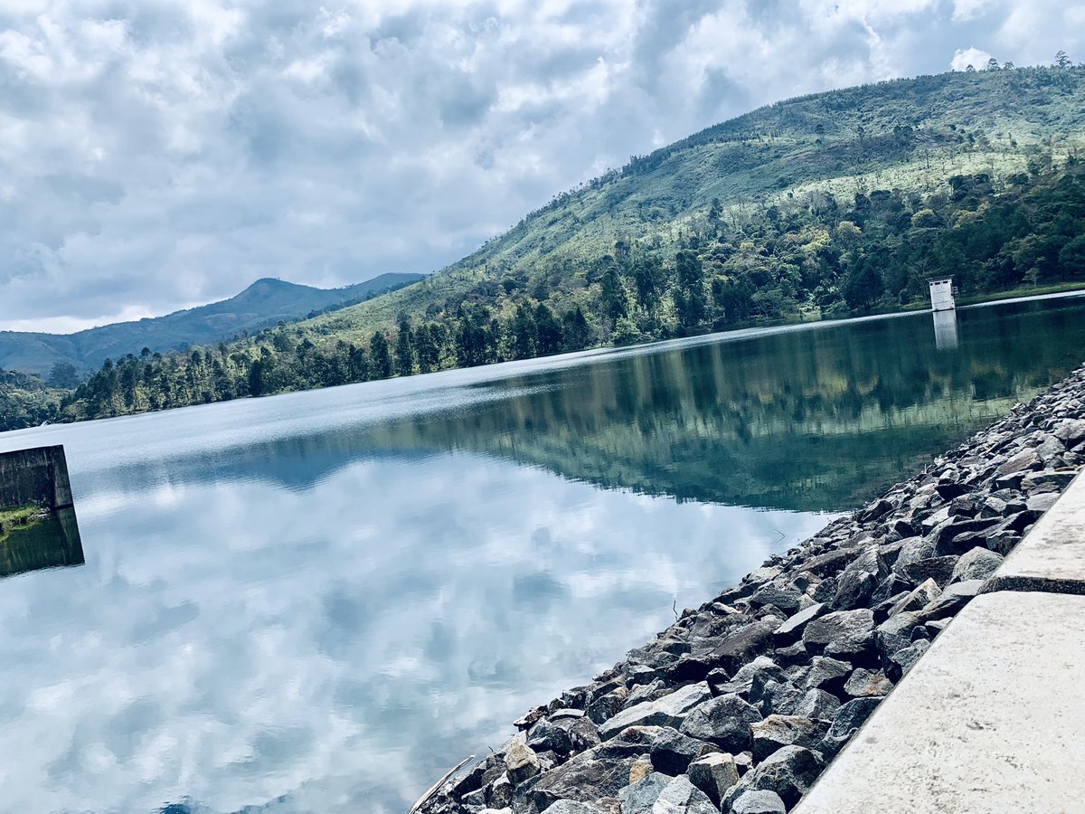 SheirrahM's tweet image. Quote this tweet with photos you took with your phone 📱