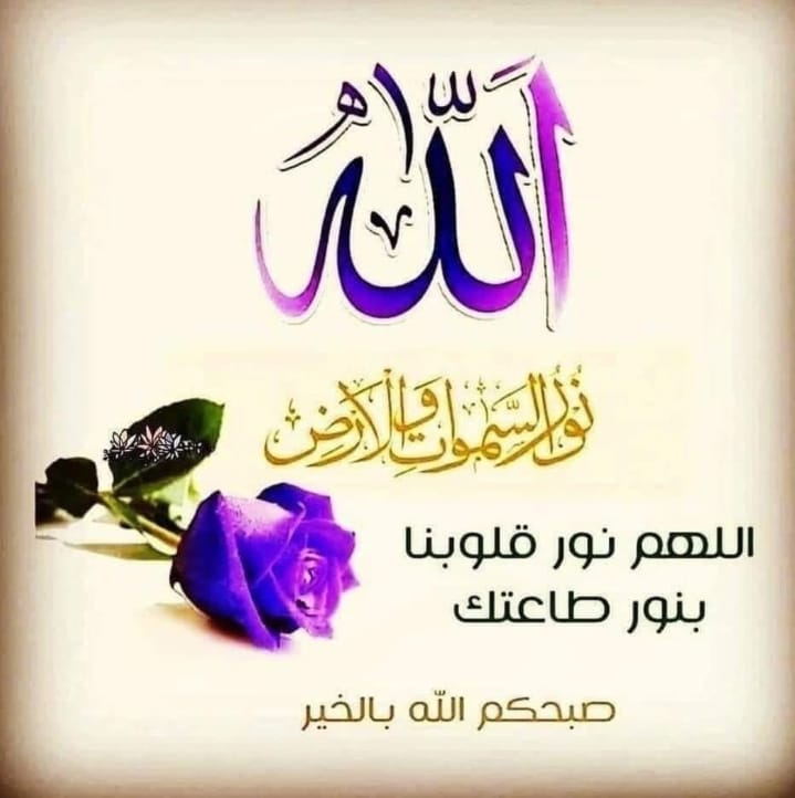 <a href="/samawi_m/">الاديب⁦⁩⁦⁦✍️</a> <a href="/mmbdalwlya3/">mm🪴💙محمد</a>