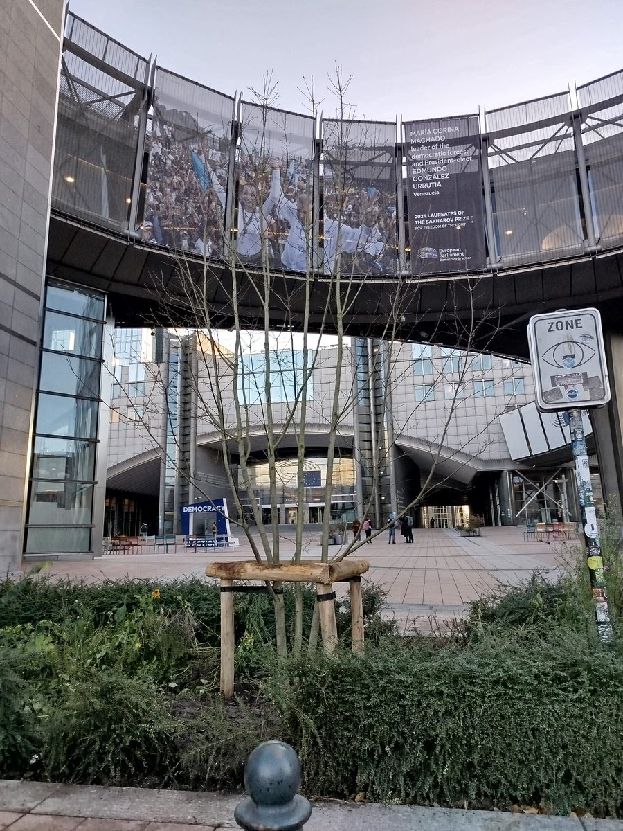 COPA-COGECA (@copacogeca) on Twitter photo Last January, during the farming protests in front of the <a href="/Europarl_EN/">European Parliament</a>, a tree was damaged.
Although we didn’t organise the protest, we felt it was important to contribute to its replacement.
🌳 Yesterday, together with <a href="/CEPF_EU/">EuropeanForestOwners</a>, <a href="/FWAgriculture/">Fédération Wallonne de l'Agriculture</a>, @CEJA, and #SRFB, we organised Last January, during the farming protests in front of the <a href="/Europarl_EN/">European Parliament</a>, a tree was damaged.
Although we didn’t organise the protest, we felt it was important to contribute to its replacement.
🌳 Yesterday, together with <a href="/CEPF_EU/">EuropeanForestOwners</a>, <a href="/FWAgriculture/">Fédération Wallonne de l'Agriculture</a>, @CEJA, and #SRFB, we organised