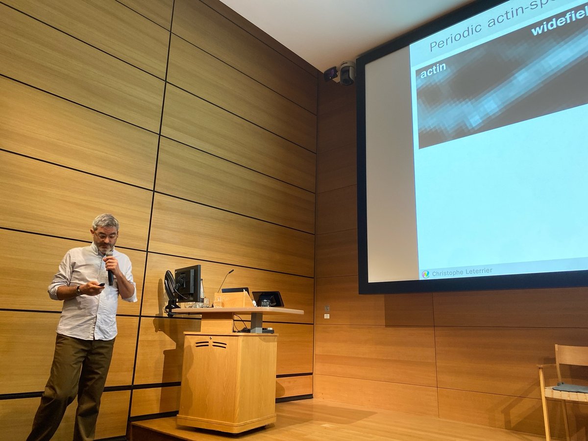 The_CBIAS's tweet photo. First session of the second day of #CBIAS2024 chaired by @Olatznv introducing the first speaker of the day @christlet who is looking at the axonal cytoskeleton with single molecule localisation and correlative microscopy https://t.co/jF8Cu2ONnm