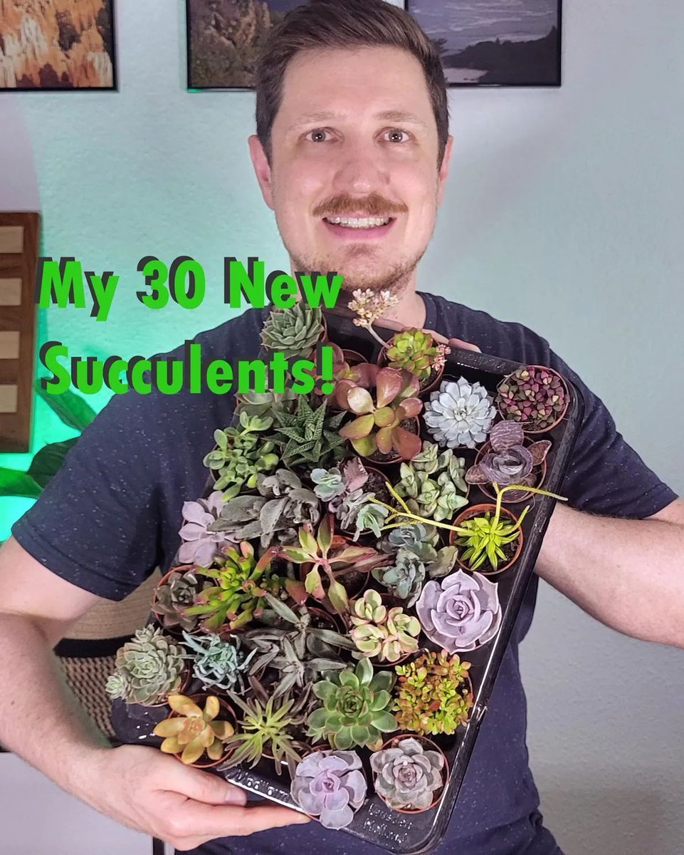 NatureGlobeCom's tweet photo. My 30 New Succulents!

Recently, I bought a mix of 30 different succulents. I love it!

#succulents #indoorplants #houseplants #plants #plantlove #planttwitter https://t.co/Uq6zDwqJnO