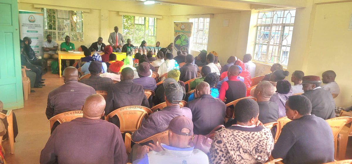 KephisKe's tweet image. High germination percentage,  free from pests and diseases and varietal purity. 

#Seedcertification
#publicbaraazas
#highyields
#farmers
#Wakulima