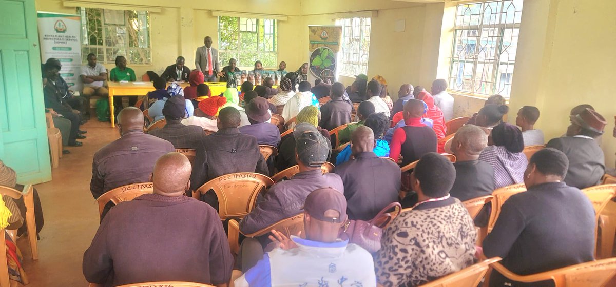 KephisKe's tweet image. High germination percentage,  free from pests and diseases and varietal purity. 

#Seedcertification
#publicbaraazas
#highyields
#farmers
#Wakulima