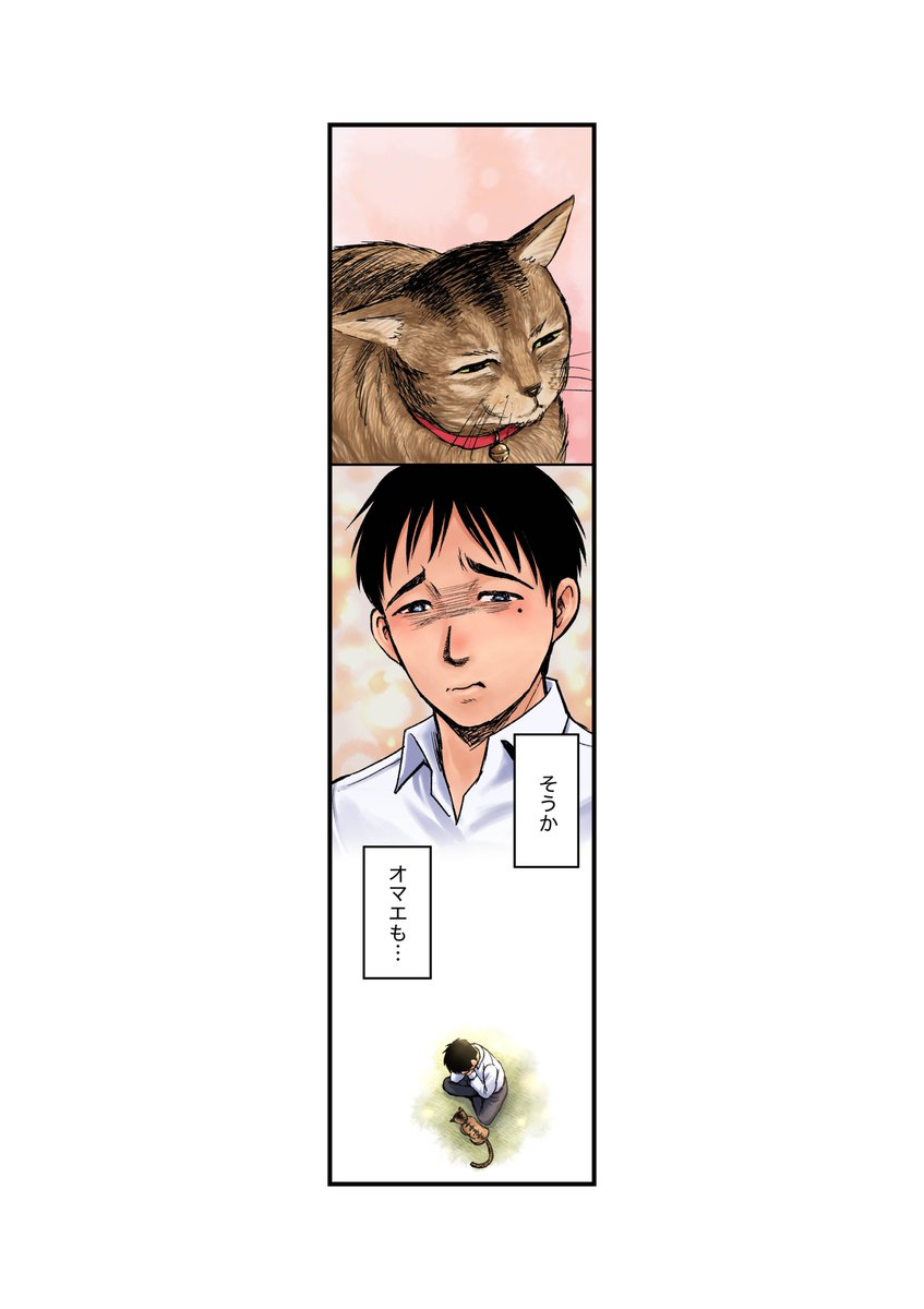 逃げ猫8/11 