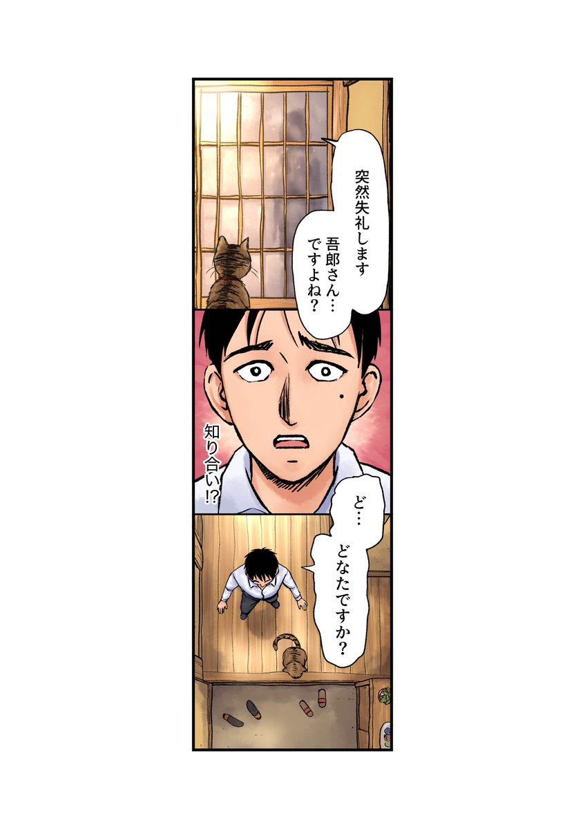 逃げ猫10/11 