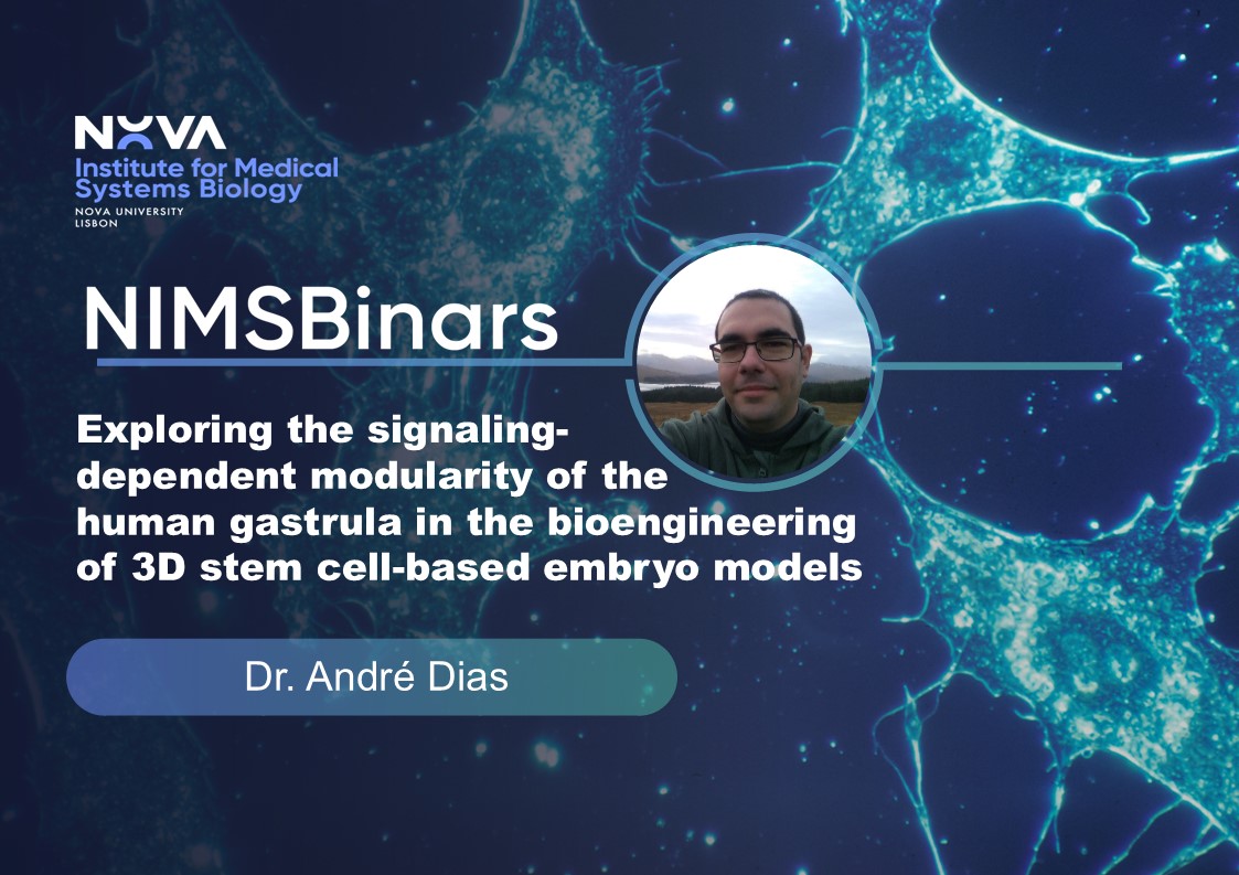 📣 DO NOT MISS TODAYS' NIMSBinar!!!
 🗓️ Date: November 26th
 ⏰ Time: 1 pm CET
 💻 Where: Online
 🎟️ Register here: surveys.unl.pt/index.php/1192…    
Registration is free but mandatory!  
To learn more about our virtual seminars visit our website: nimsb.unl.pt/impact-on-soci…
