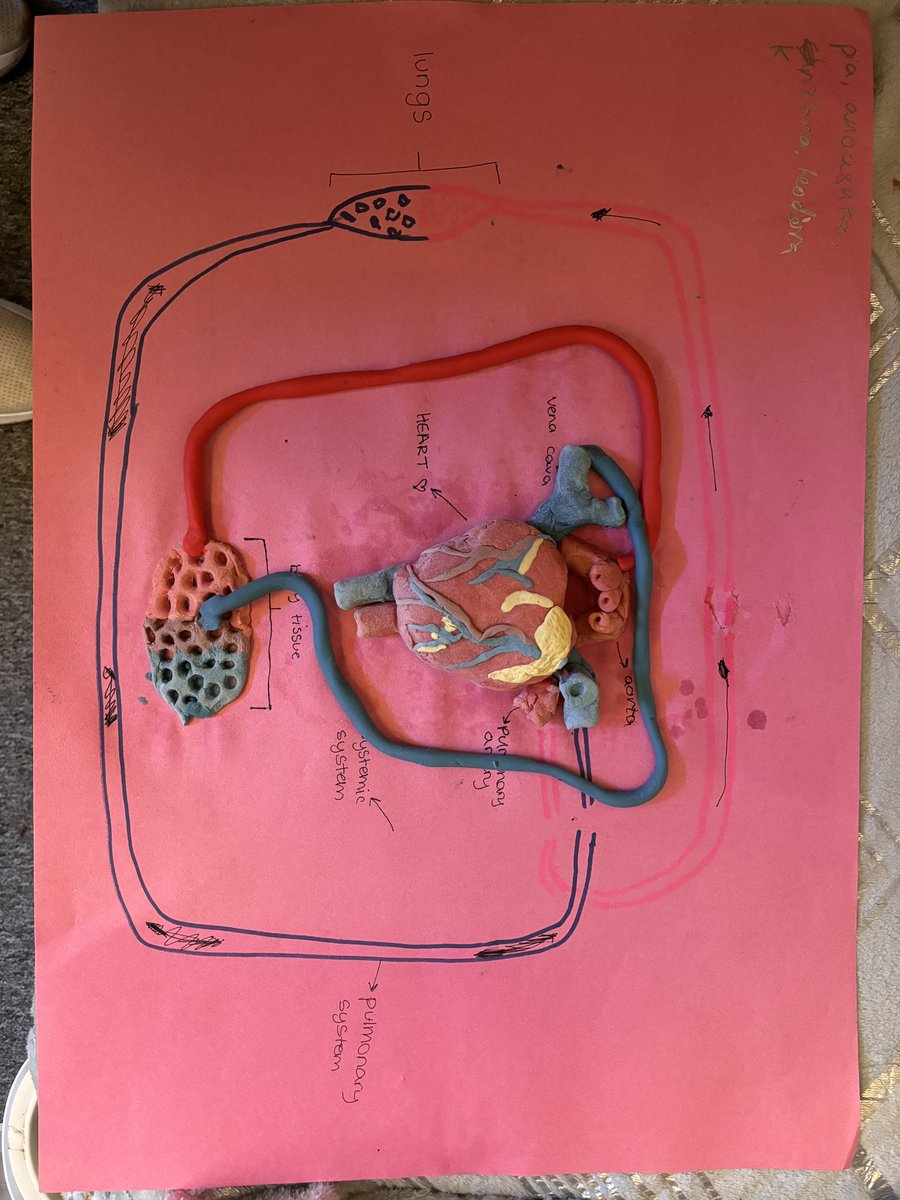 ⚾️ PE Dept ⚽️ tweet media